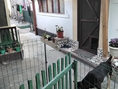 Camera la curte