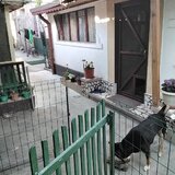 Camera la curte
